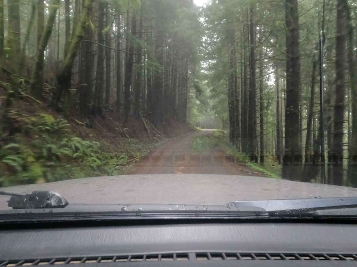 Andy Creek photo 3
