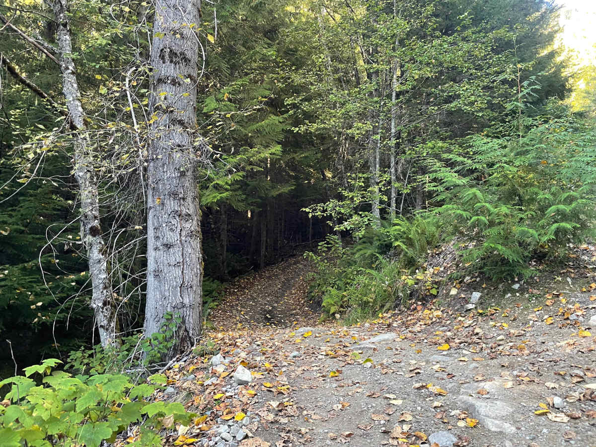 Doubletrack #4 photo 4