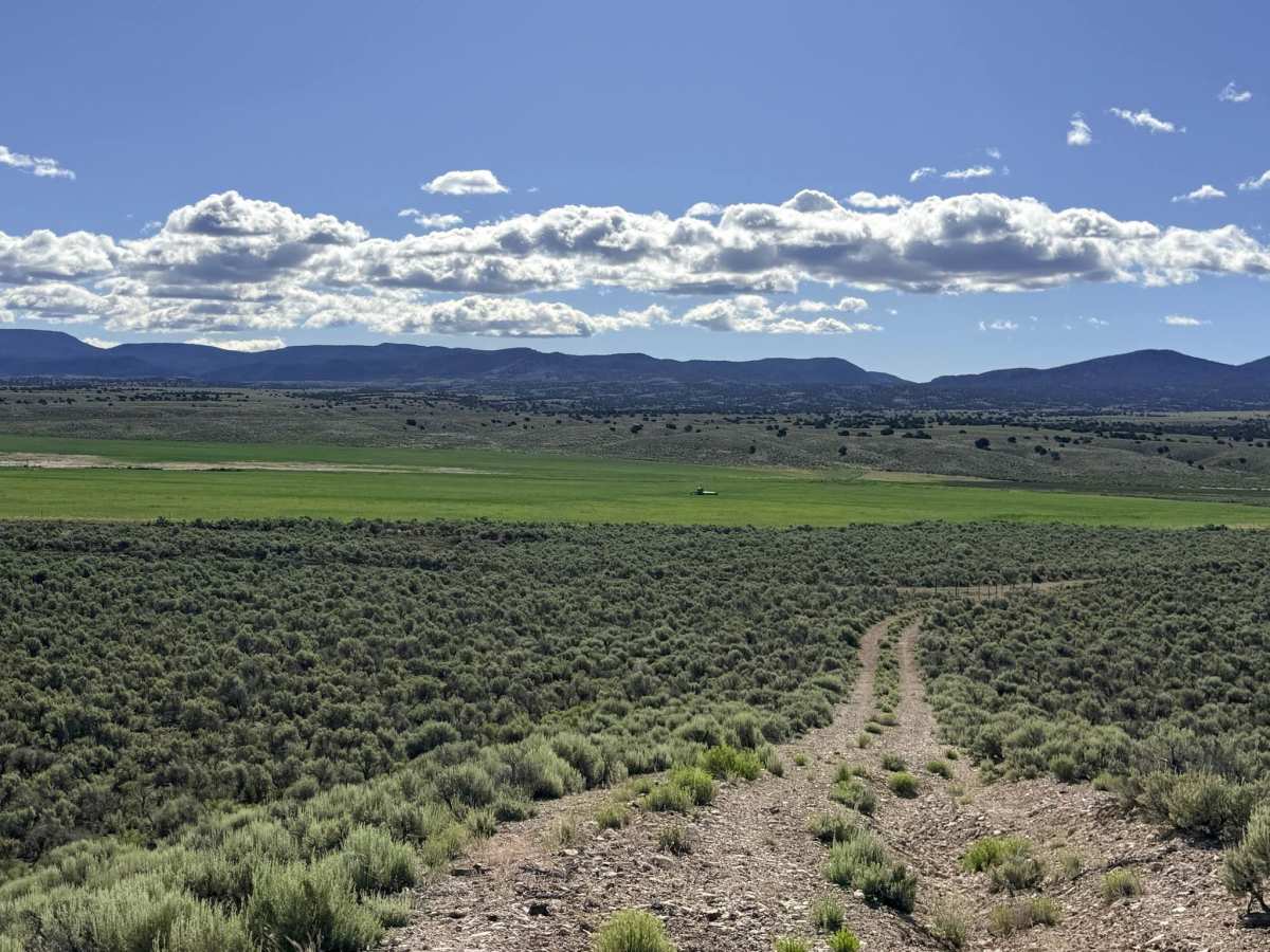 South Danville Cr. FS44810 trail photo