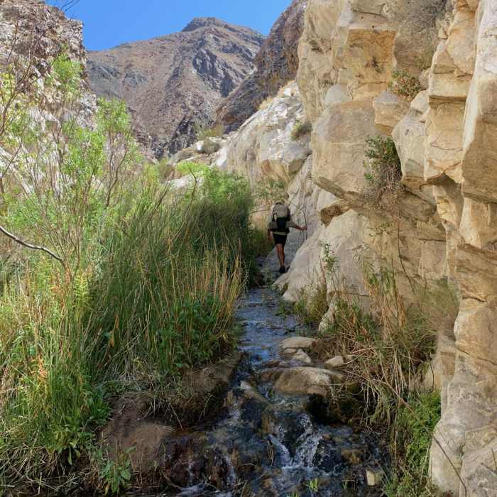 Near Surprise Canyon Trail