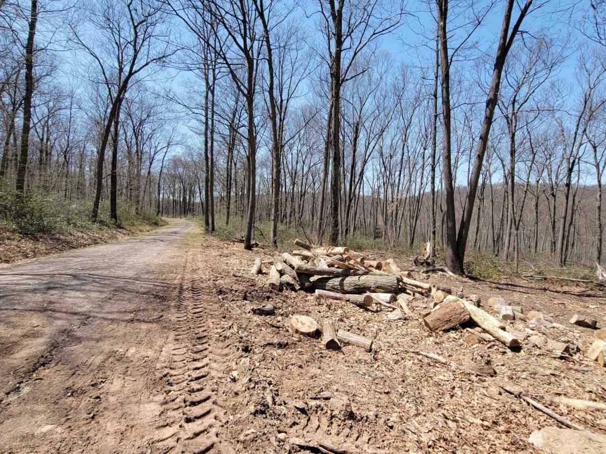 Flat Trail photo 6