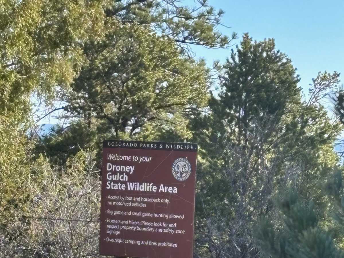 Droney Gulch photo 4