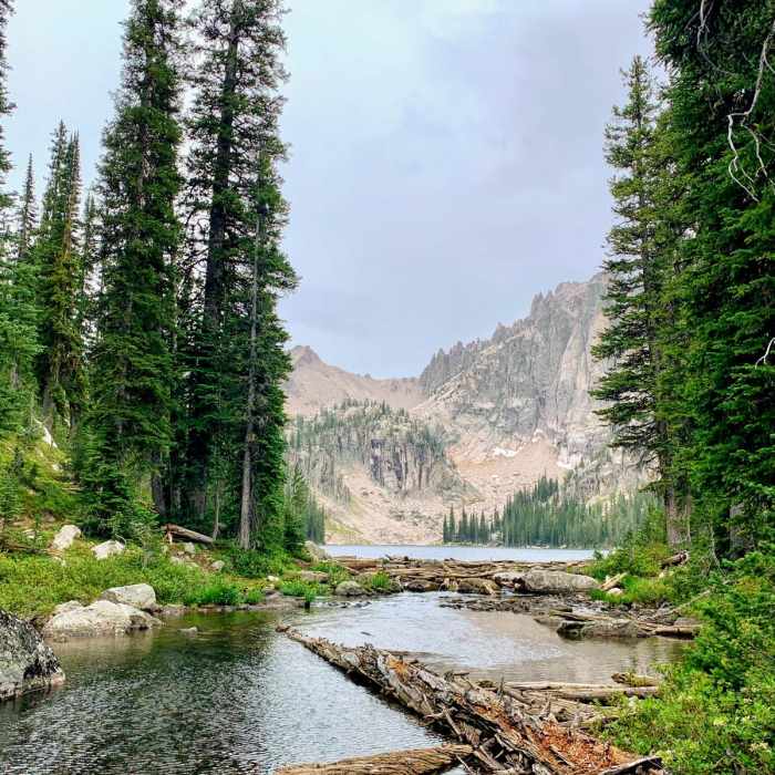 Near Redfish Lake To Baron Lakes