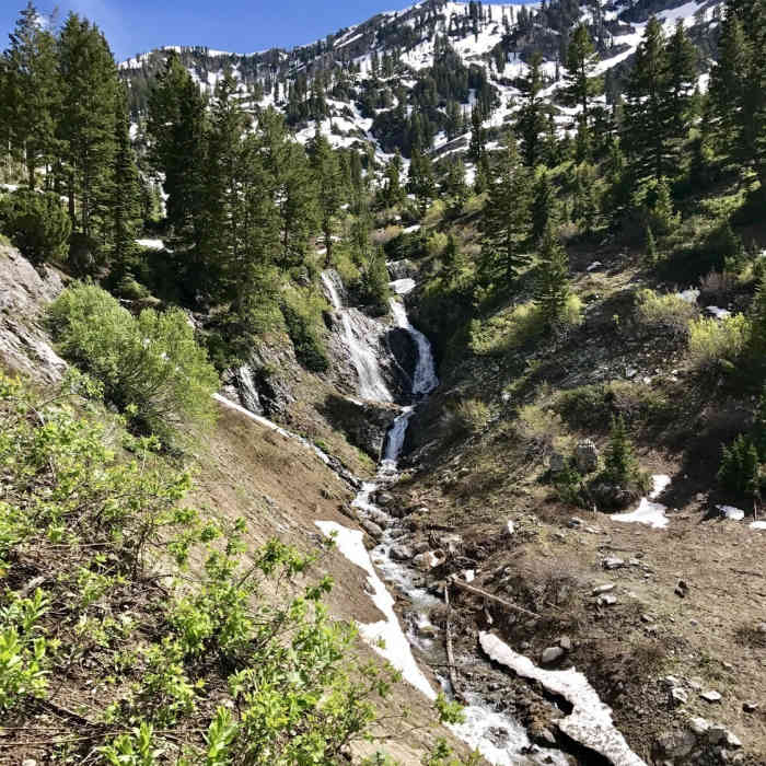 Near Cherry Creek Trail