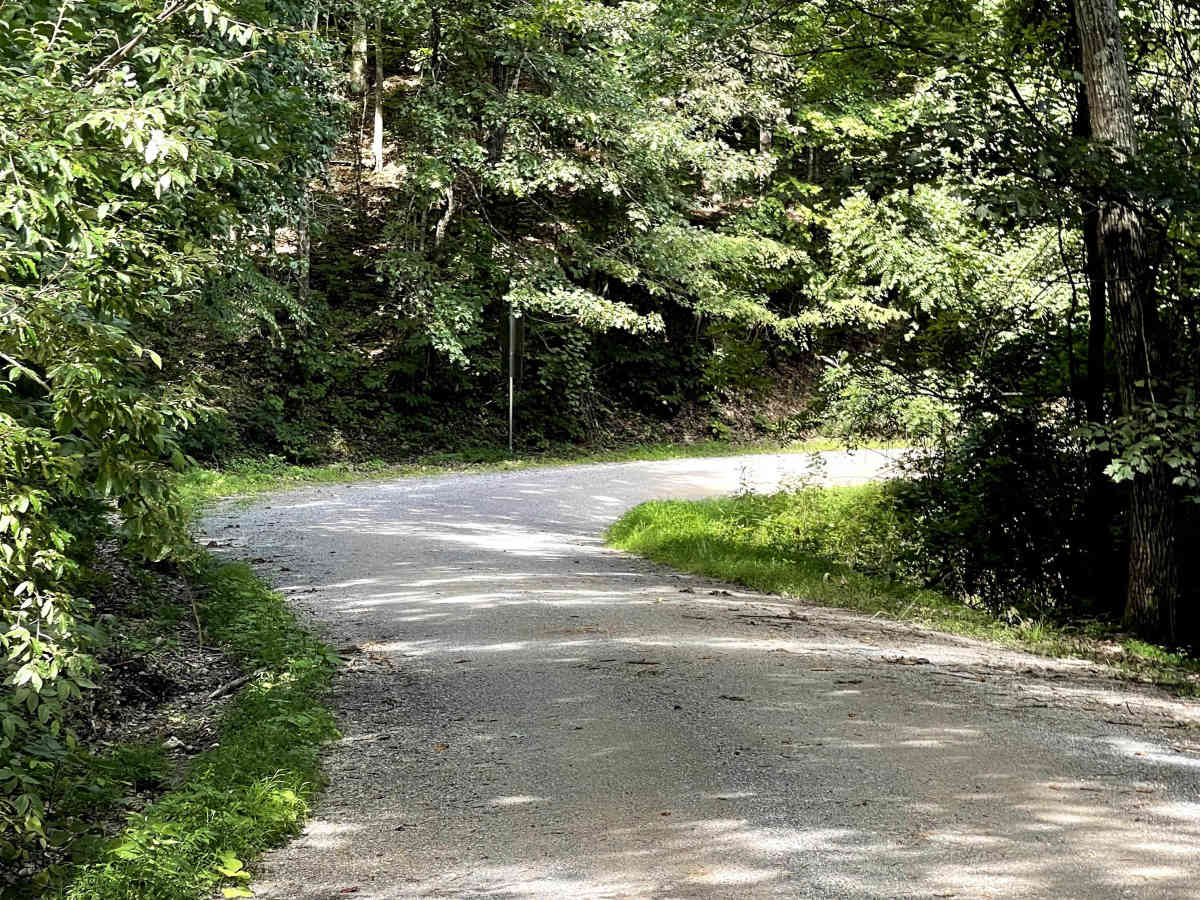 Dagger Springs Road photo 4