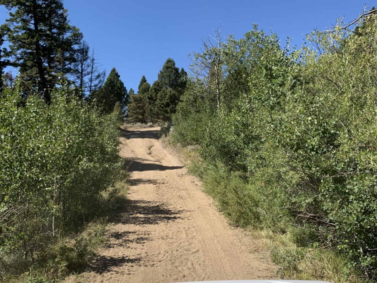 Bigfoot Creek to Hay Creek photo 2
