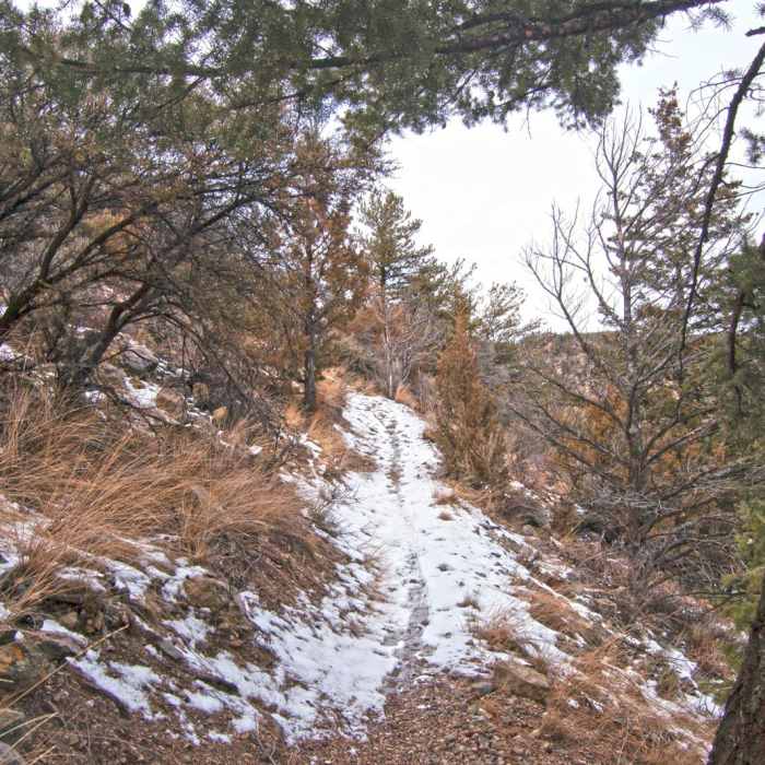 Near Middle View Trail