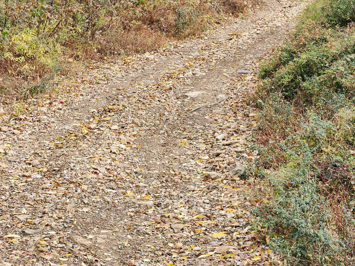 OHV 11 - Rock Run Recreation Area trail photo