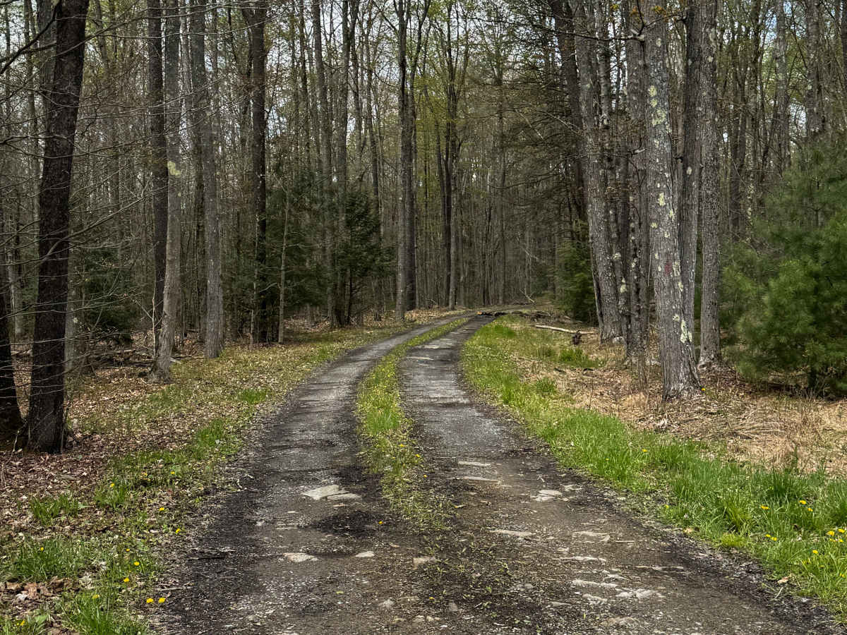 Grade Road photo 3
