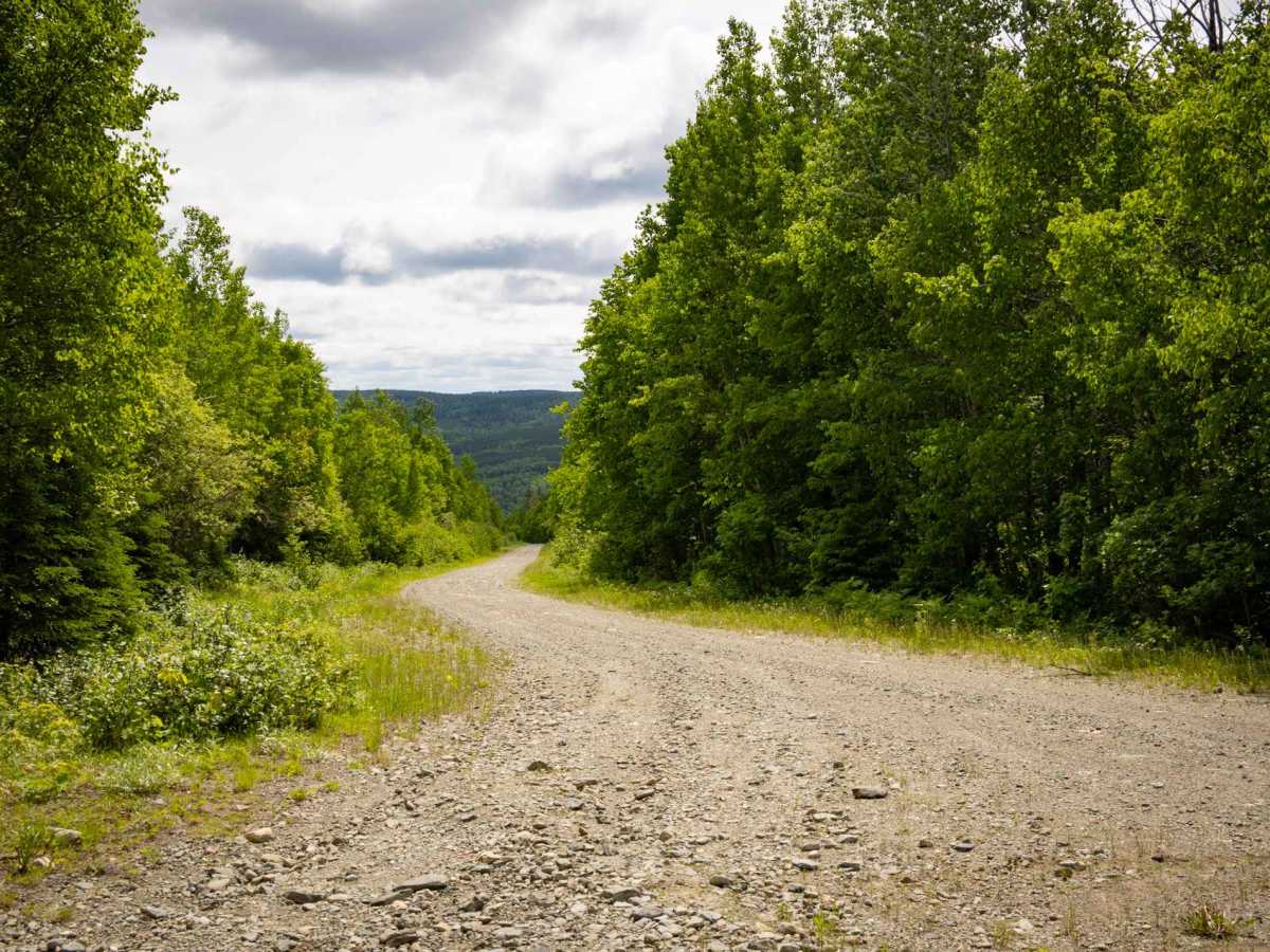 Mount Fronsac Trail photo 3
