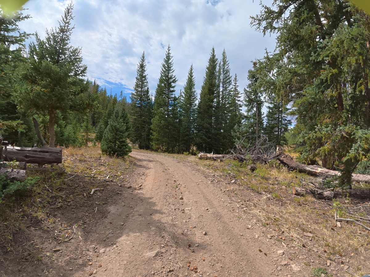 Beaver Lake Road trail photo