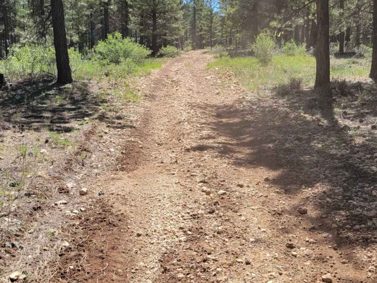Uinta Loop 1 photo 2