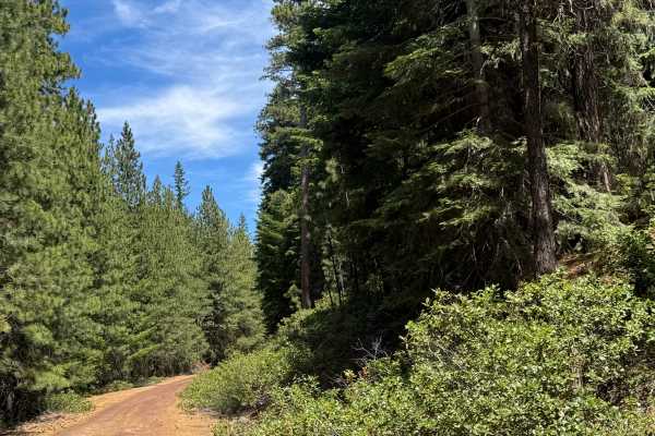 Black Butte North - FS 1110-700