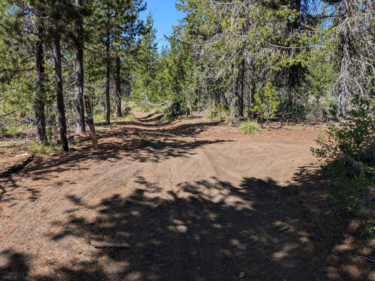 Santiam OHV 13 photo 5