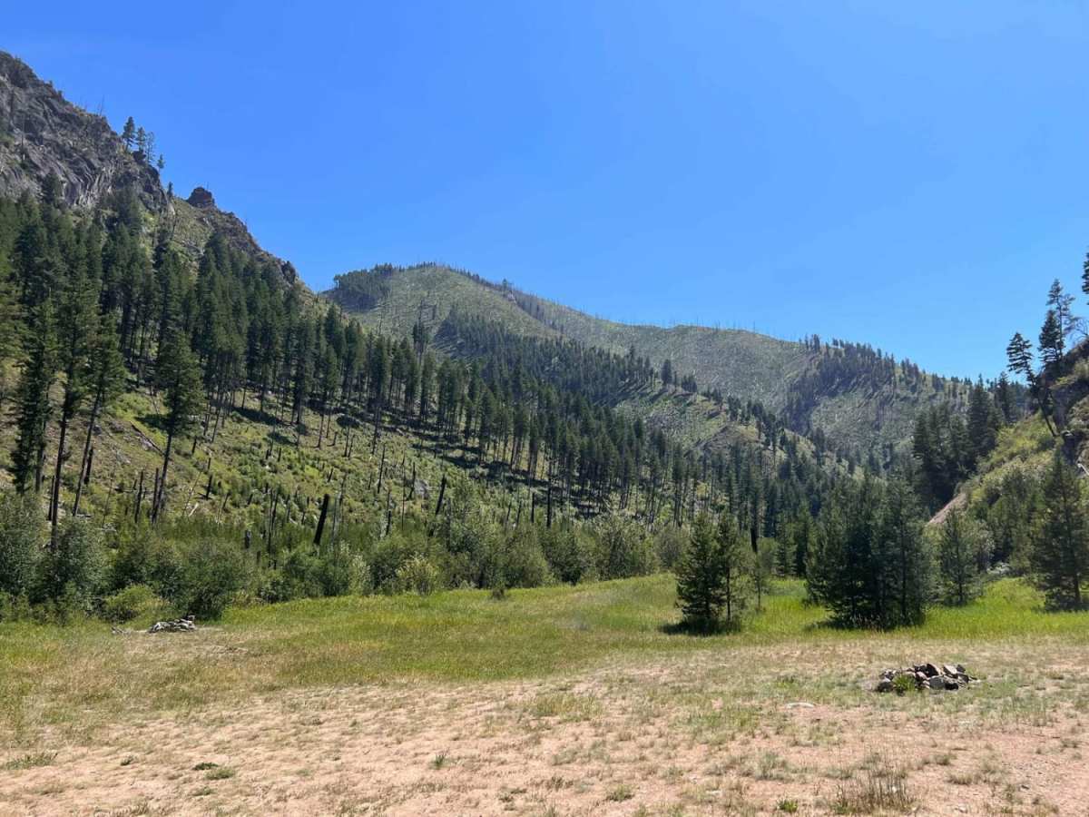 Crazy Creek Warm Springs photo 3