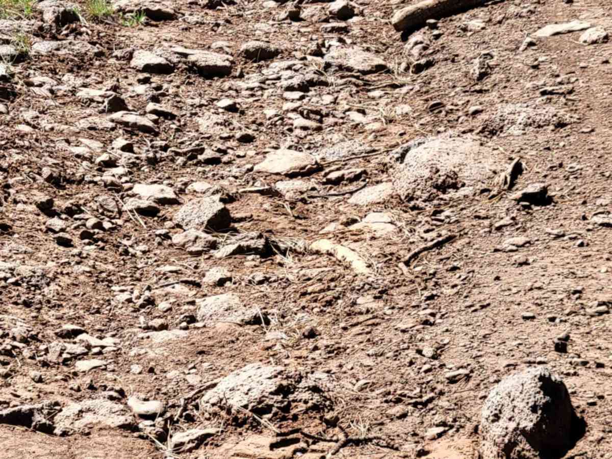 Uinta Loop 3 photo 6