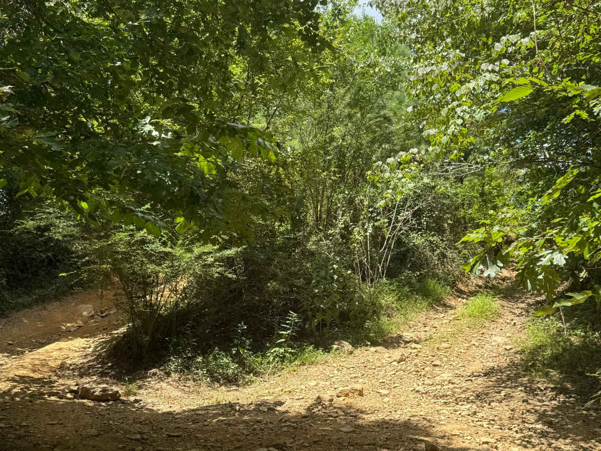 406E photo 3
