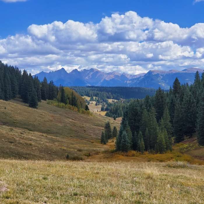 Looking east towards the Needles - snowy peaks in the distance. Near Elbert Creek Trail #512