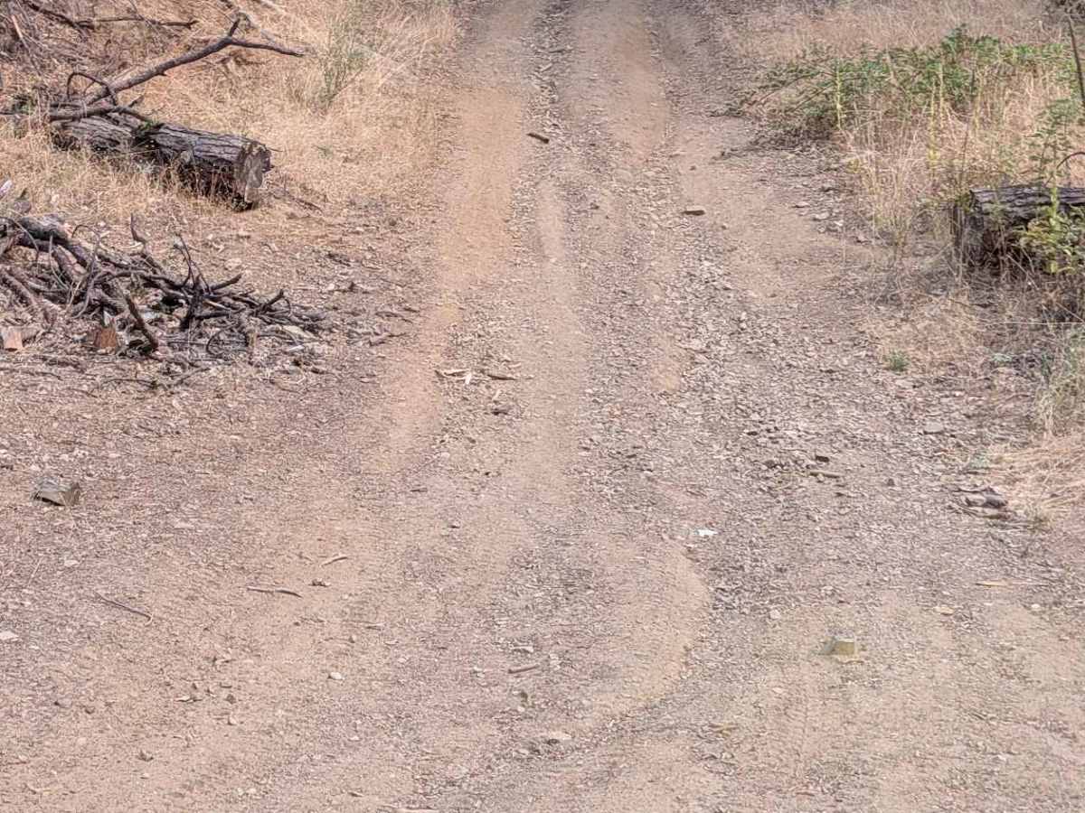 Lucky Jeep Trail - FS 31N50  photo 6
