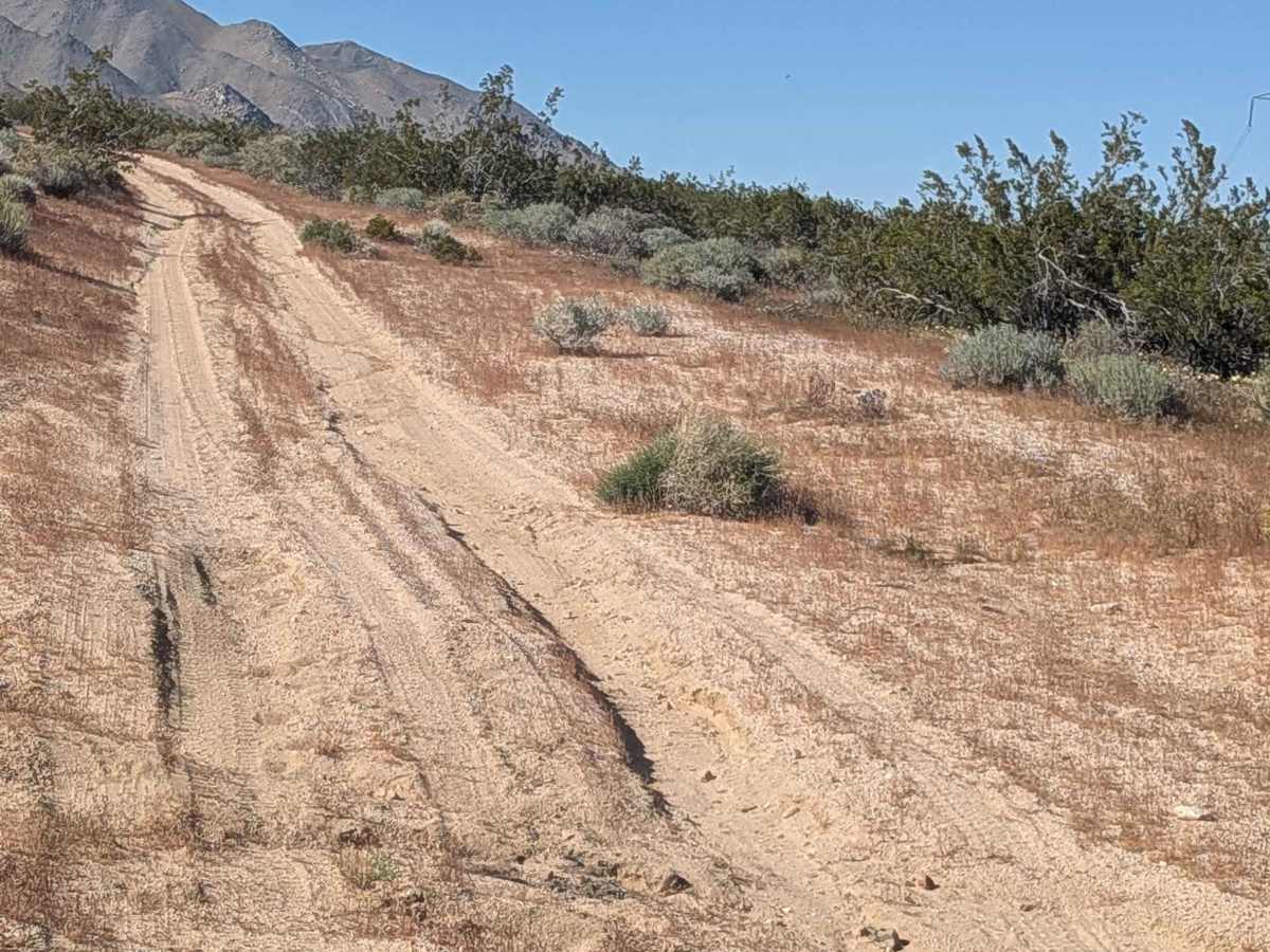 BLM SE125 photo 4
