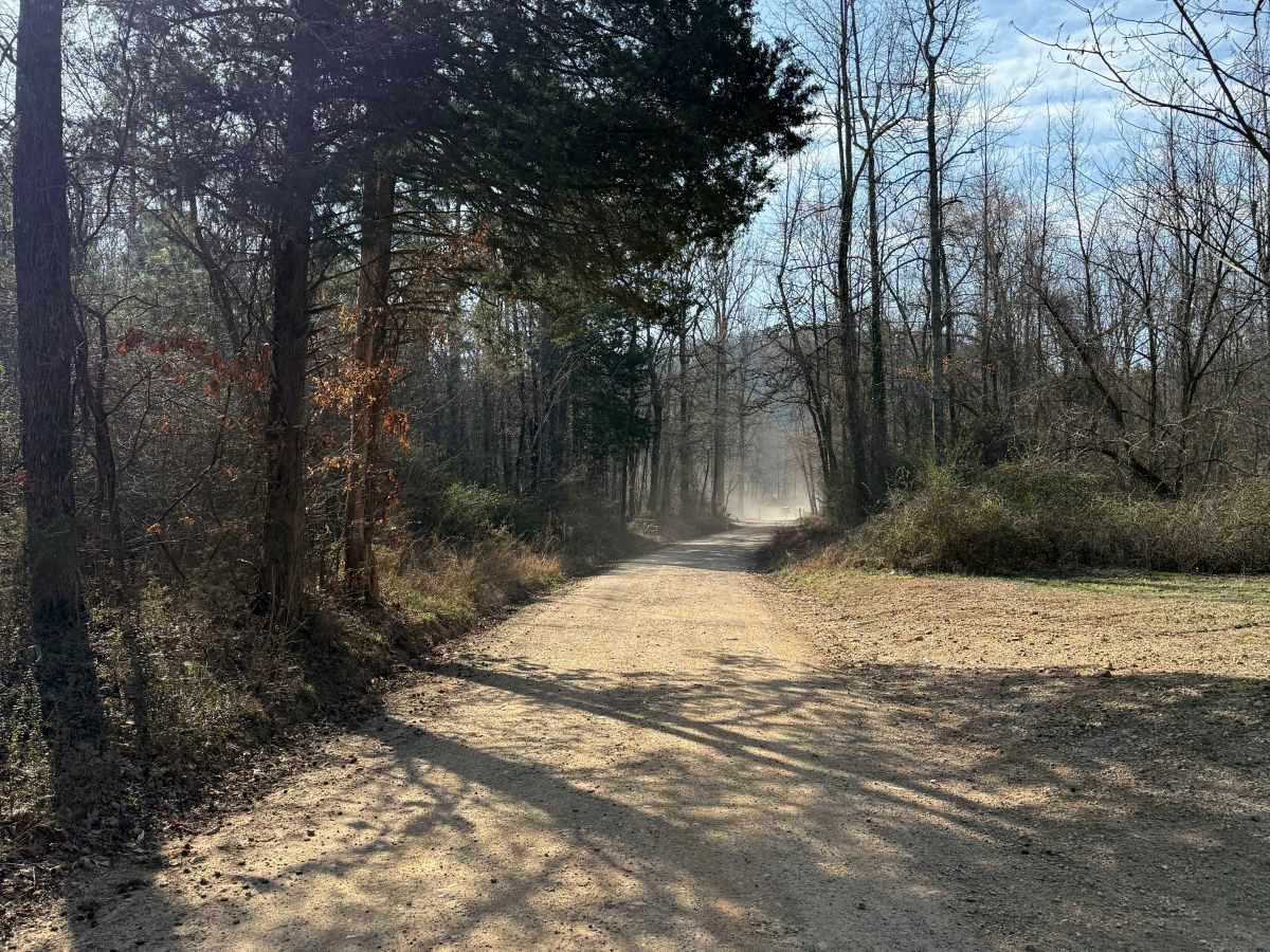FS 30 trail photo