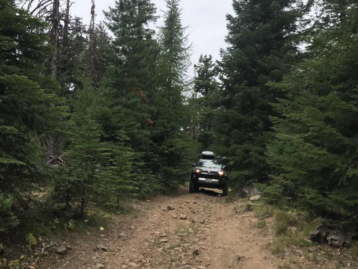 Swamp Devil Connection trail photo