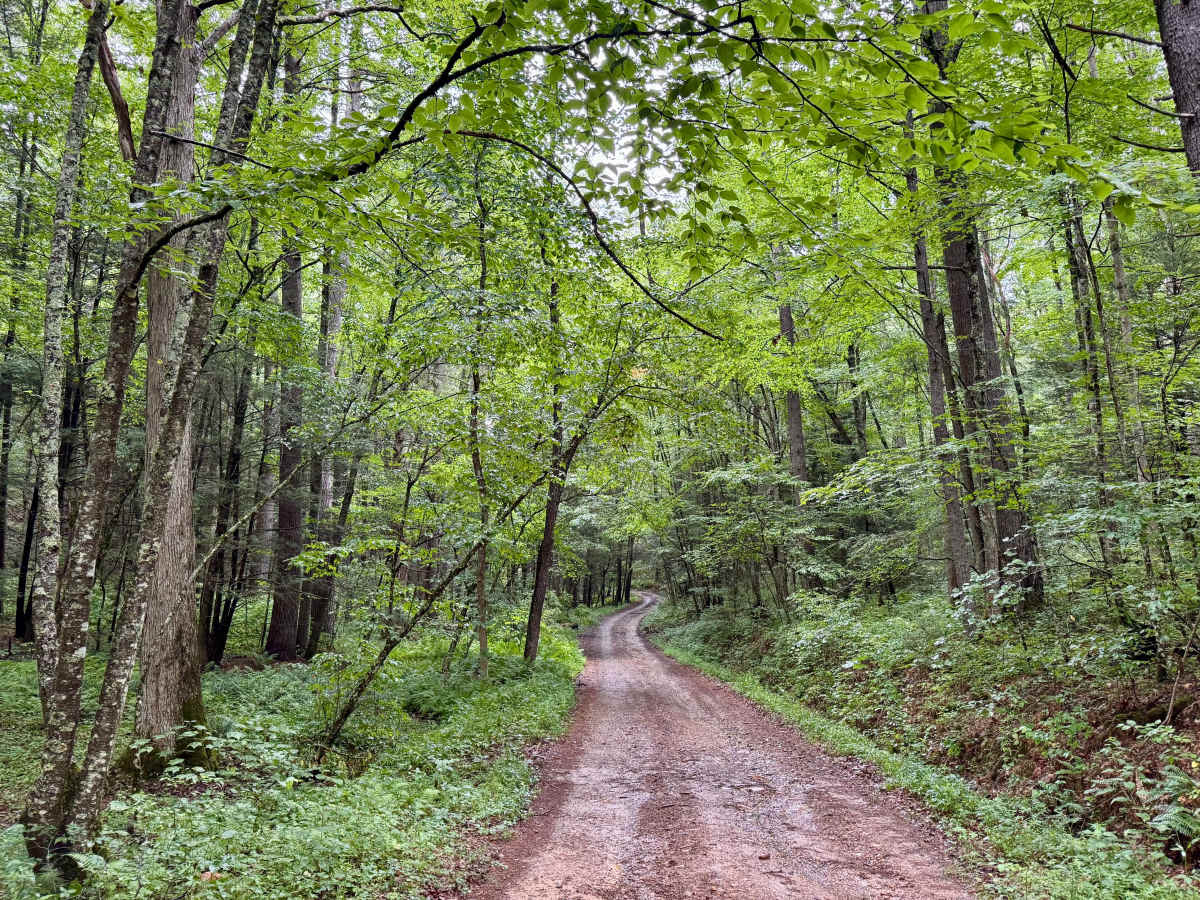 Little Creek Road 16 photo 3