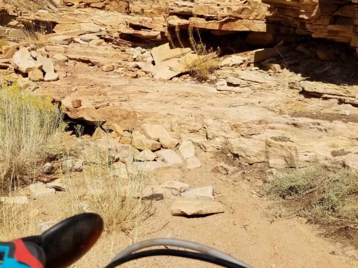 Waterfall Trail photo 4
