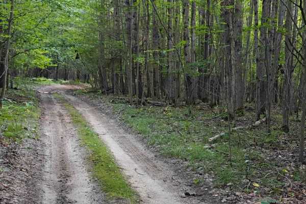 Timreck South Spur