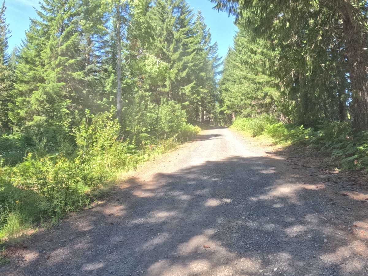 Section 3 Road - FS 2067525  photo 2