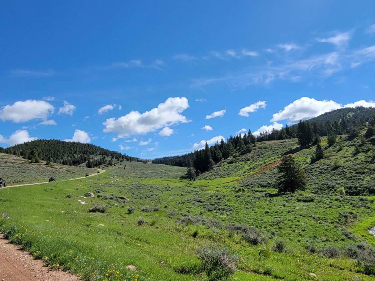 Burgess trail photo