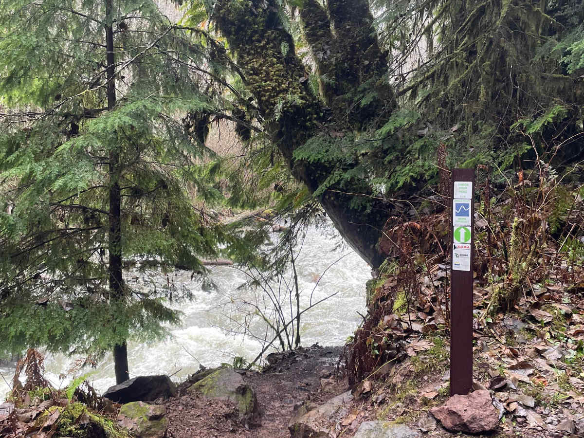 Check Your Head trail photo