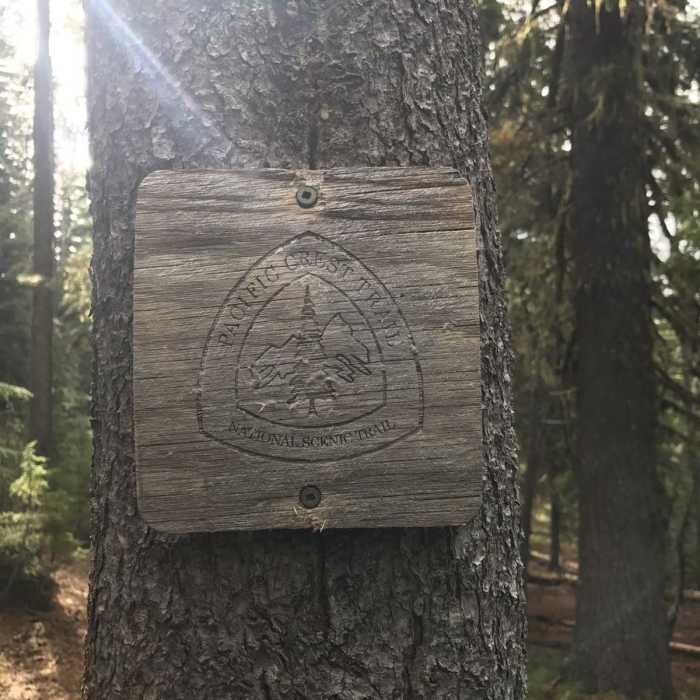 Near Pacific Crest Trail: Oregon Section E - Highway 58 to Highway 242