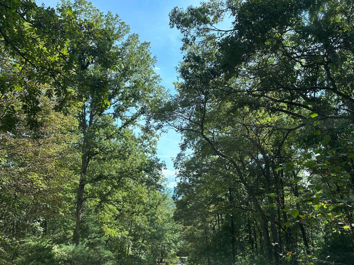 Whiting Tract photo 4