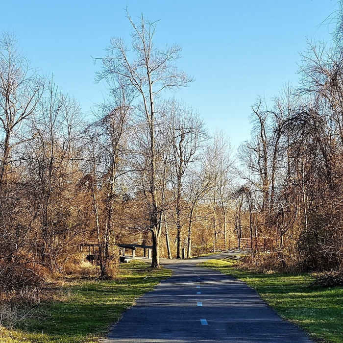 Near Paint Branch Trail
