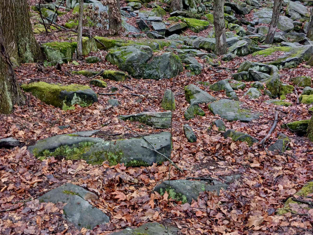 OHV 43 - Rock Run Recreation Area trail photo