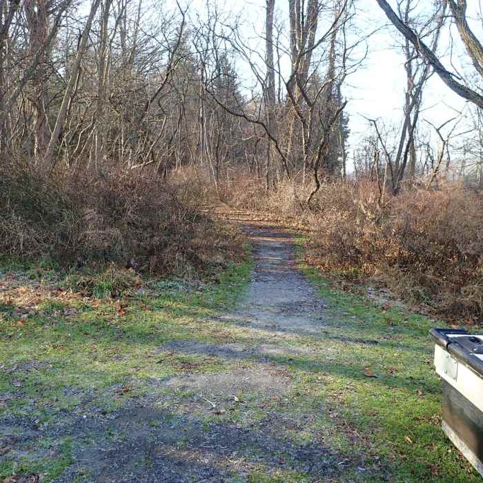 Near Halfway Mountain Loop