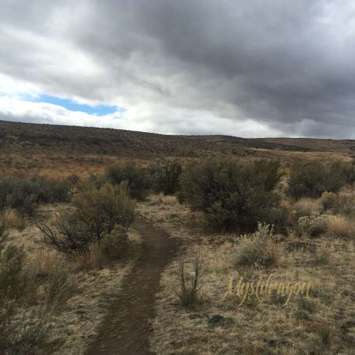 Near Doubletrack