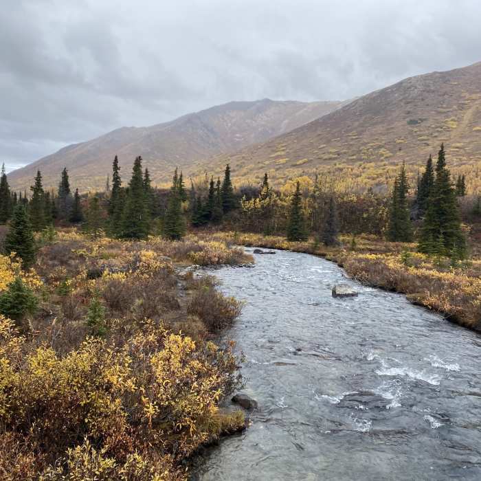 Near South Fork Eagle River Trail