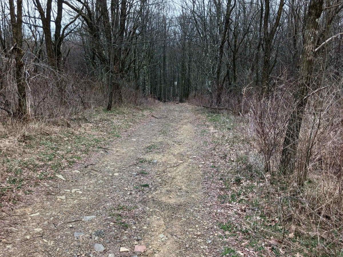 W Road - Rock Run Recreation Area photo 2