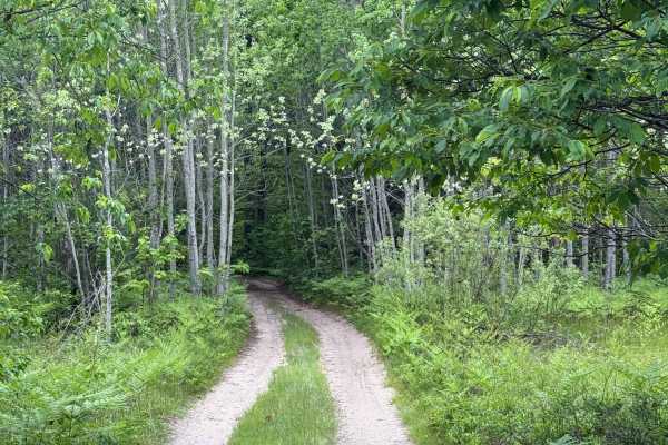 Kalkaska North Mountain Bike Trail
