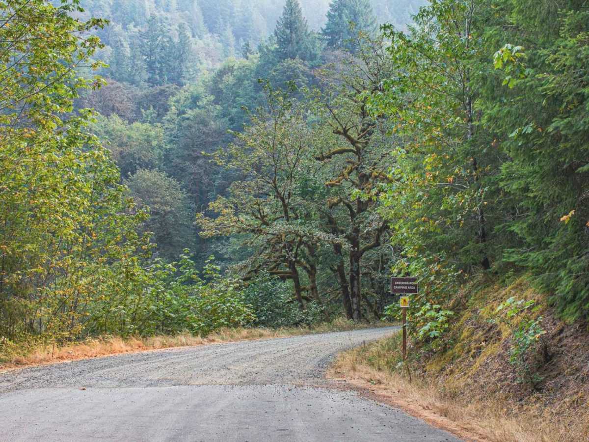 Gordon trail photo