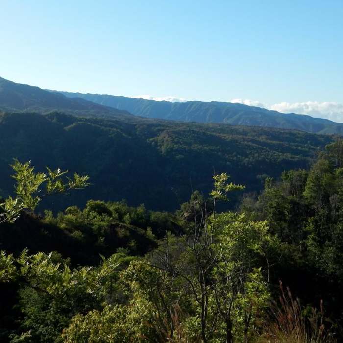 Near Lonomea via the Kukui Trail Near Lonomea via the Kukui Trail