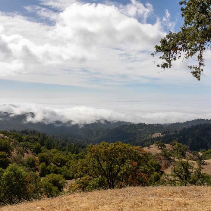 Near Sea to Sky Trail