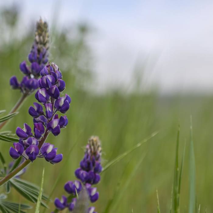 Near Taylor Lake via Riverfront Trail