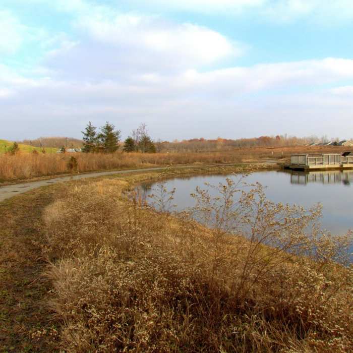 Near Flat Fork Creek Park Nature Trail Near Flat Fork Creek Park Nature Trail