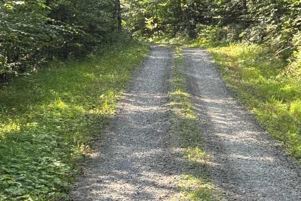 Fisher Mine Road