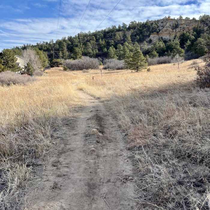 Near Palmer Point Trail