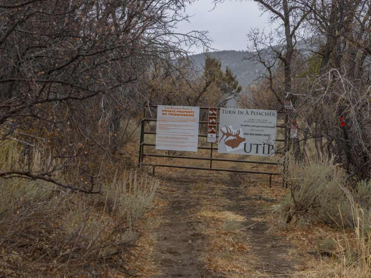 Catamount Trail photo 5