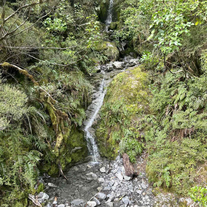 Near Bridal Veil Falls Lookout Walk Near Bridal Veil Falls Lookout Walk
